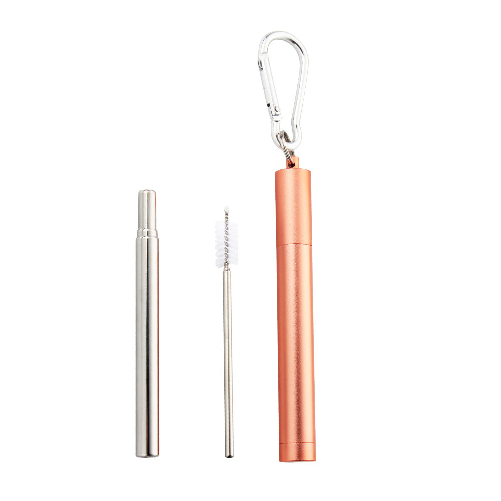 Telescopic Stainless Steel Reusable Metal Straw